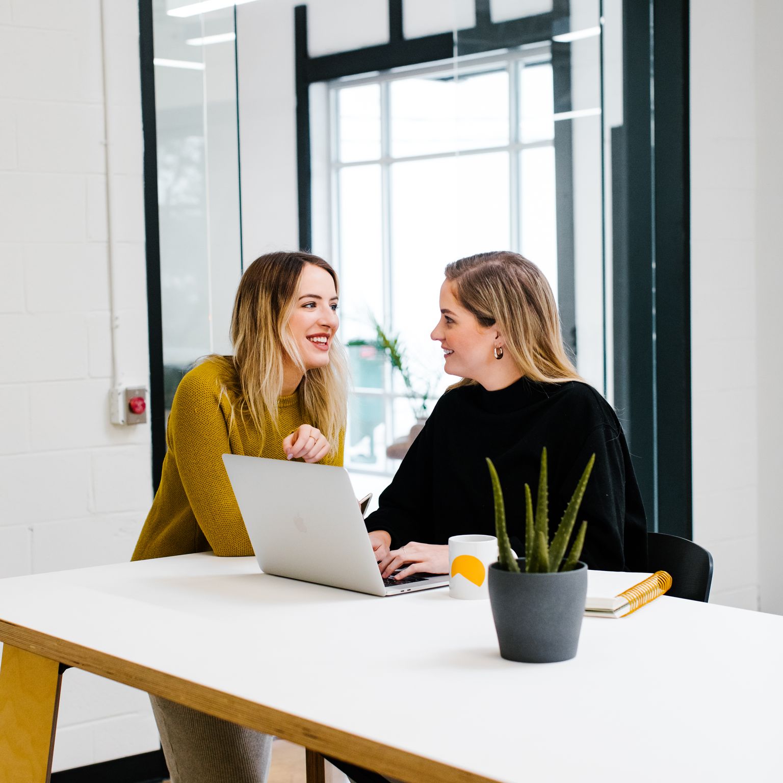 Two women sitting in front of laptop and talking